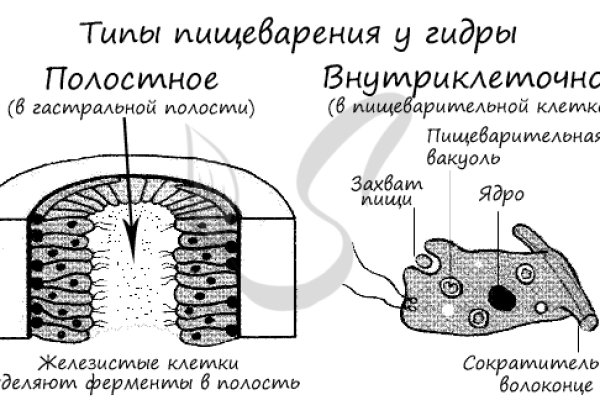 Кракен наркоман